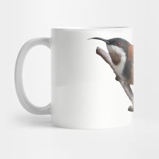 Eastern Spinebill Mug